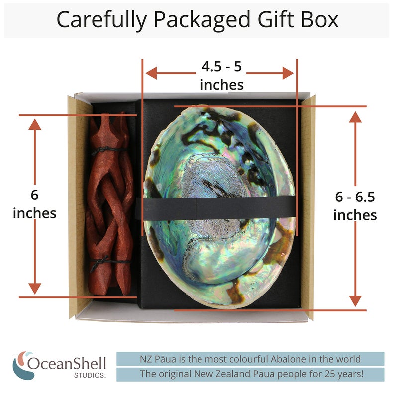 Ocean Shell Studios. Natural Abalone (PÄua) Shell, with Stand,6-6.5 Inches,Supreme for Smudging,Cleansing Home,Meditation,Shell Crafts,Incense Holder,100% Natural, Sustainably Sourced by Ocean Shell Studios NZ - Image 2
